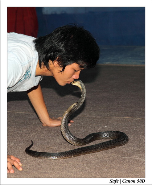 2009   08   Kho samui 15